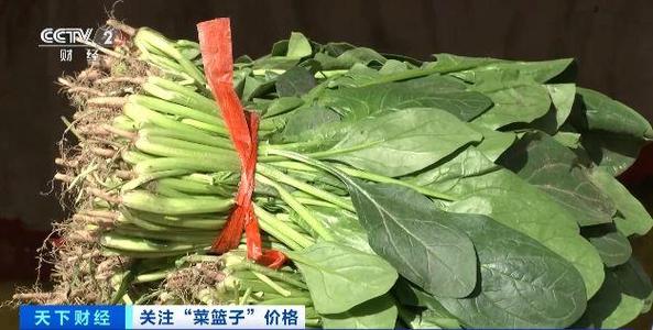 菠菜,韭菜都便宜了!北京叶类蔬菜价格降幅明显!记者探访